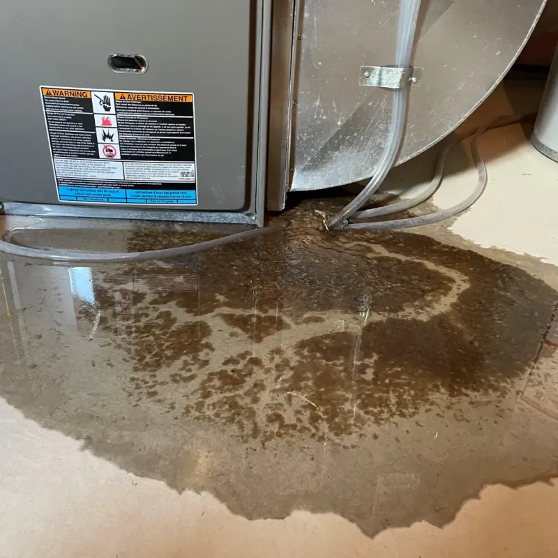 Appliance Leak Cleanup in Bedford, IN